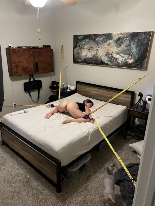 Made useful by Dame_n_eva