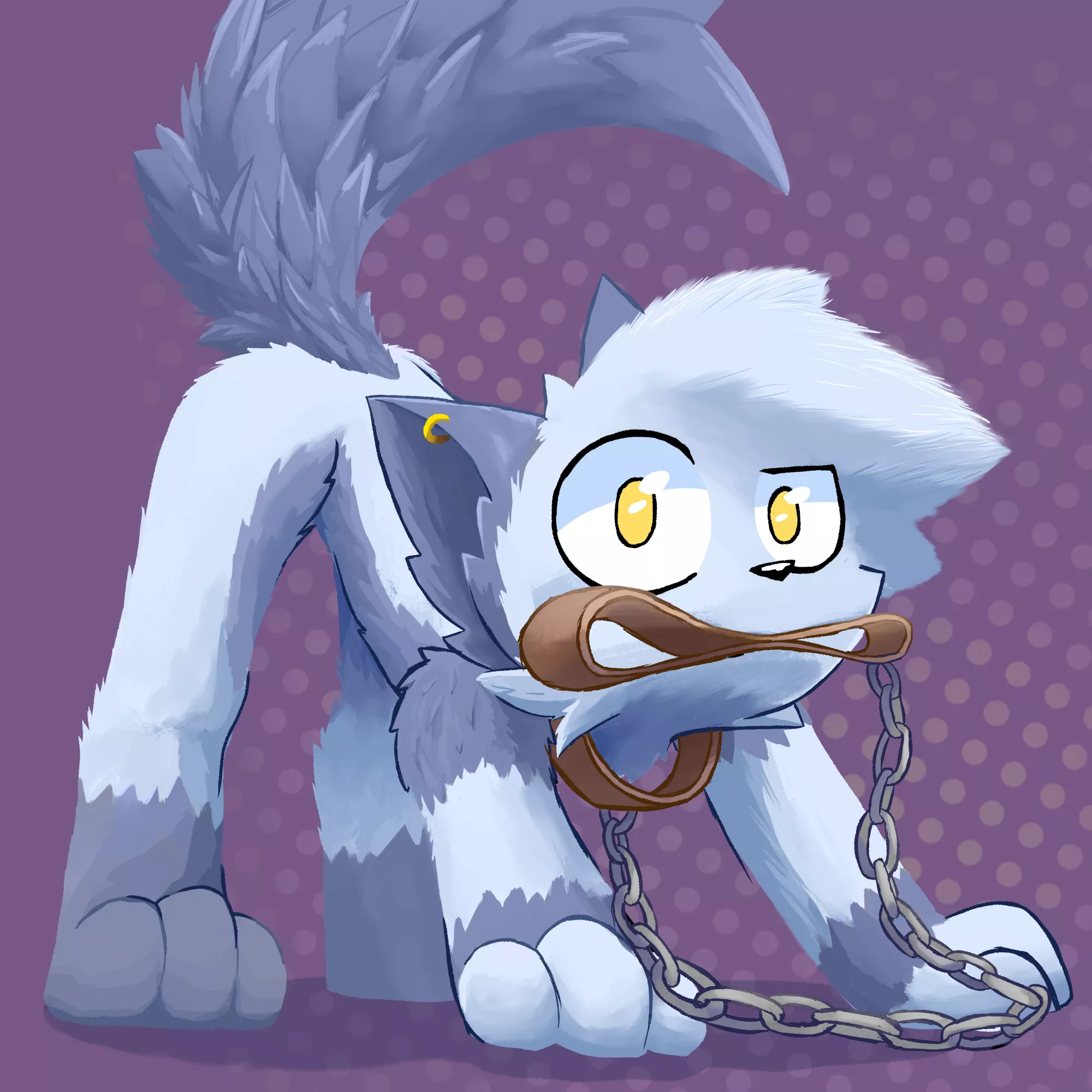 Mio is a cachorro posted by MeowHusk