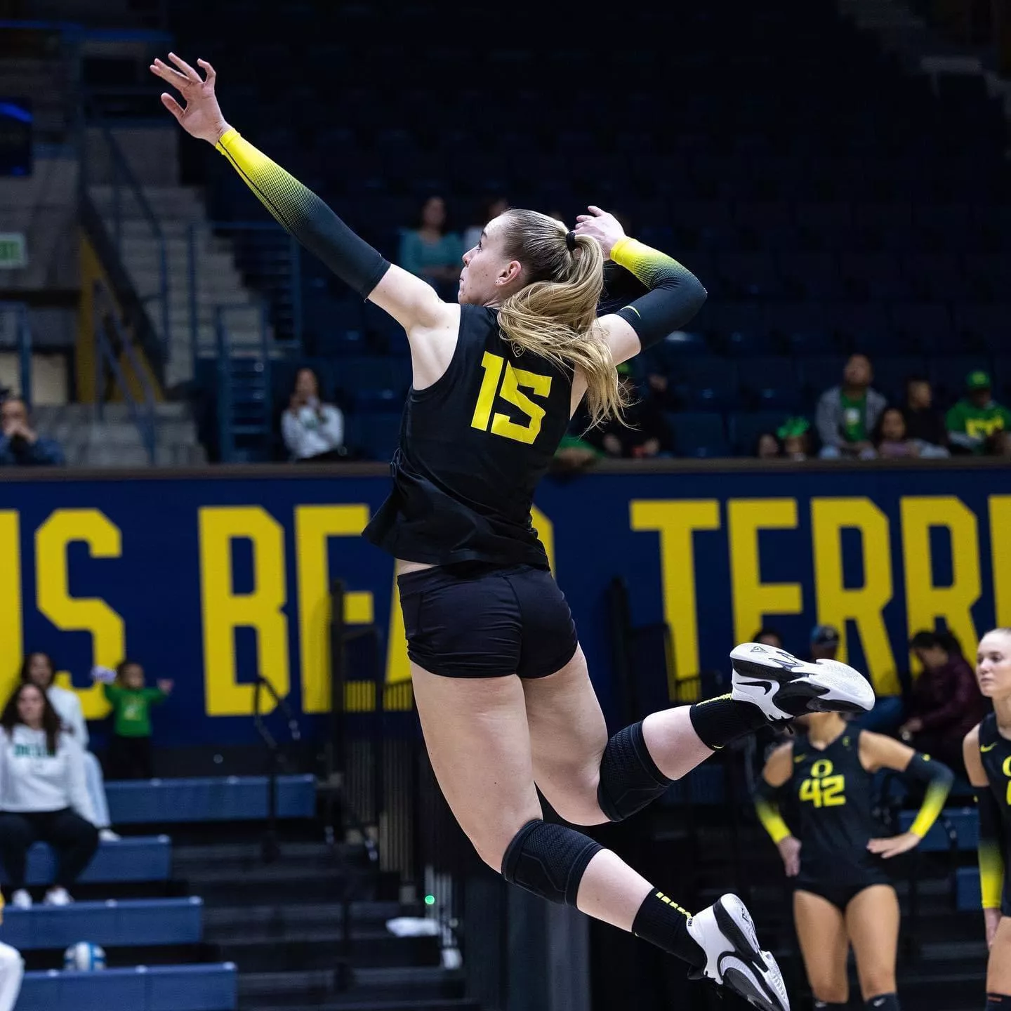 Number 15 posted by thebababooey