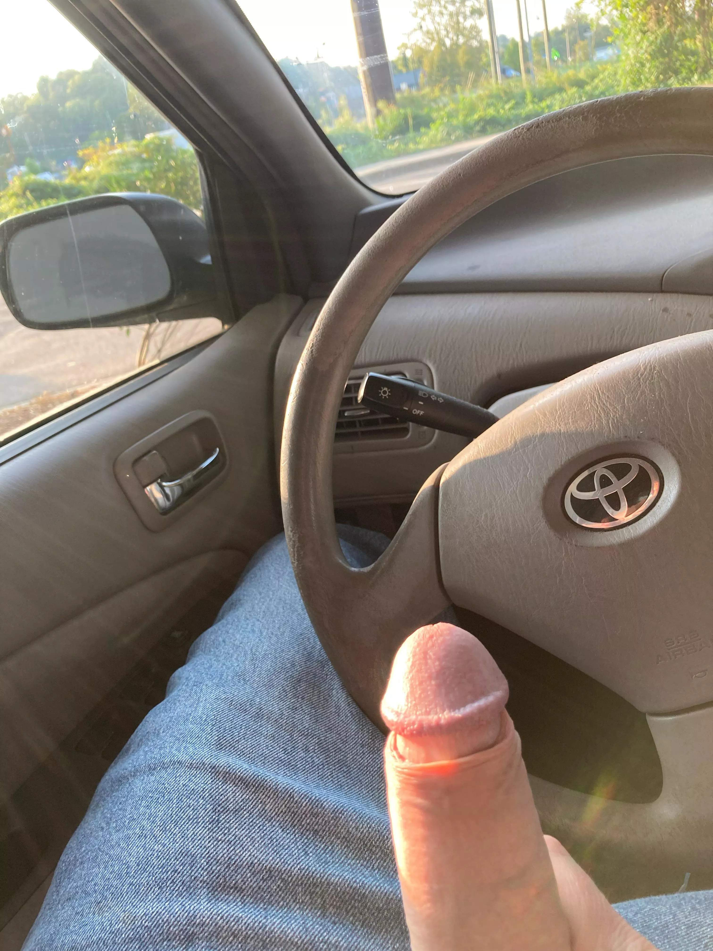 Wood you stop and watch? posted by JesseLoves00