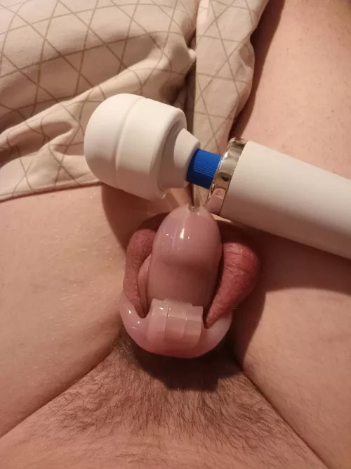 Are Vibrator orgasms allowed? 🙏 by Locked_Insano