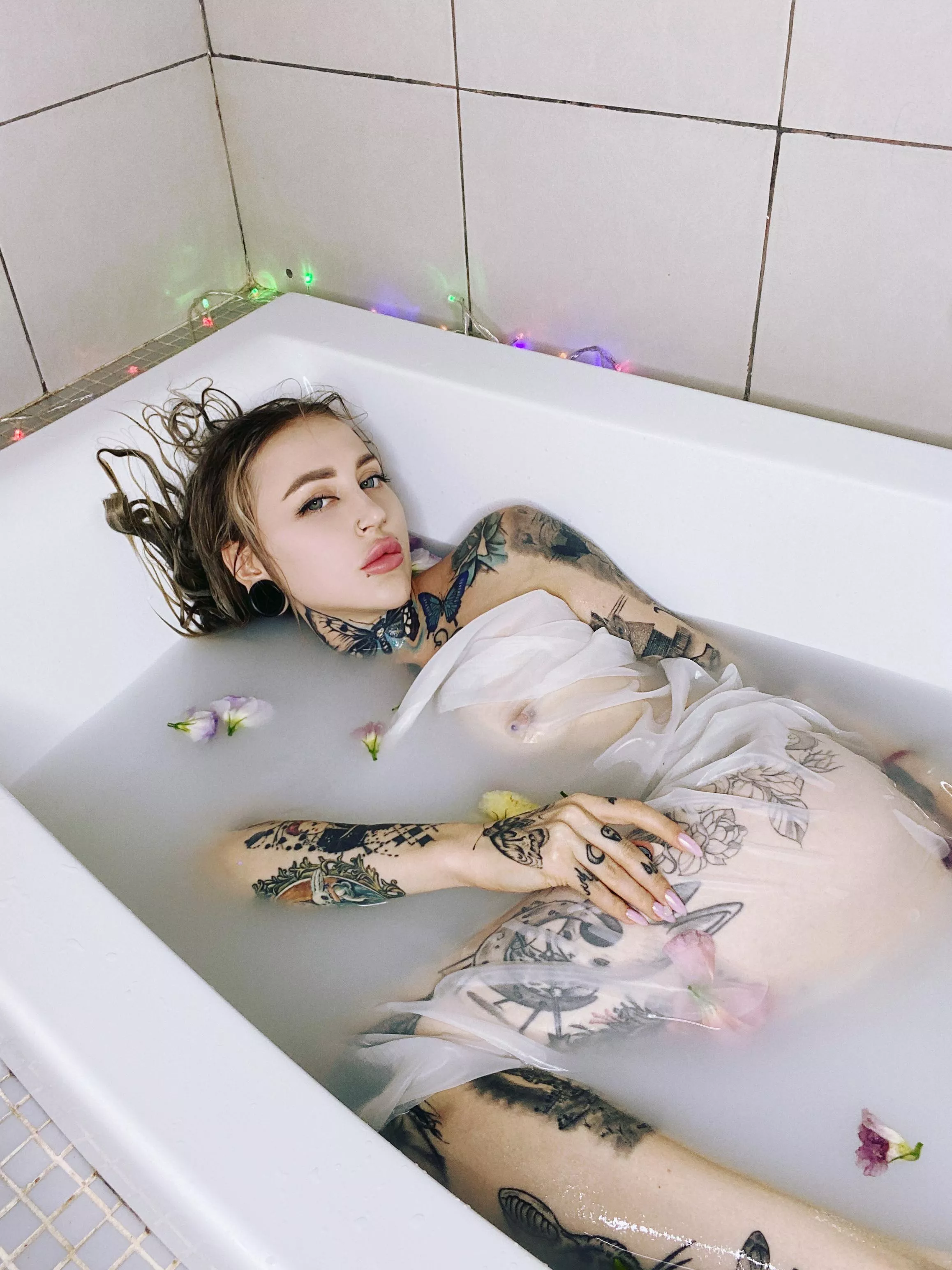 breed me and cum on me 😇 posted by Any-Energy-596