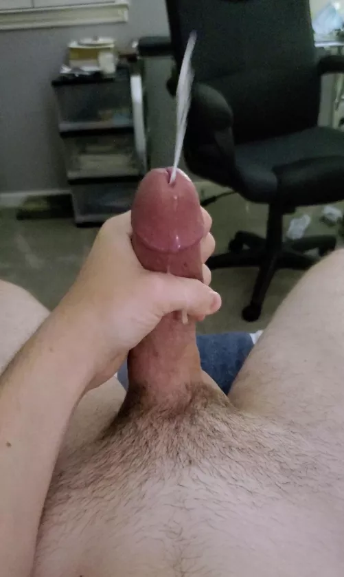 I promise I won't pull out. I have a breeding kink. Pms open by nomark1849