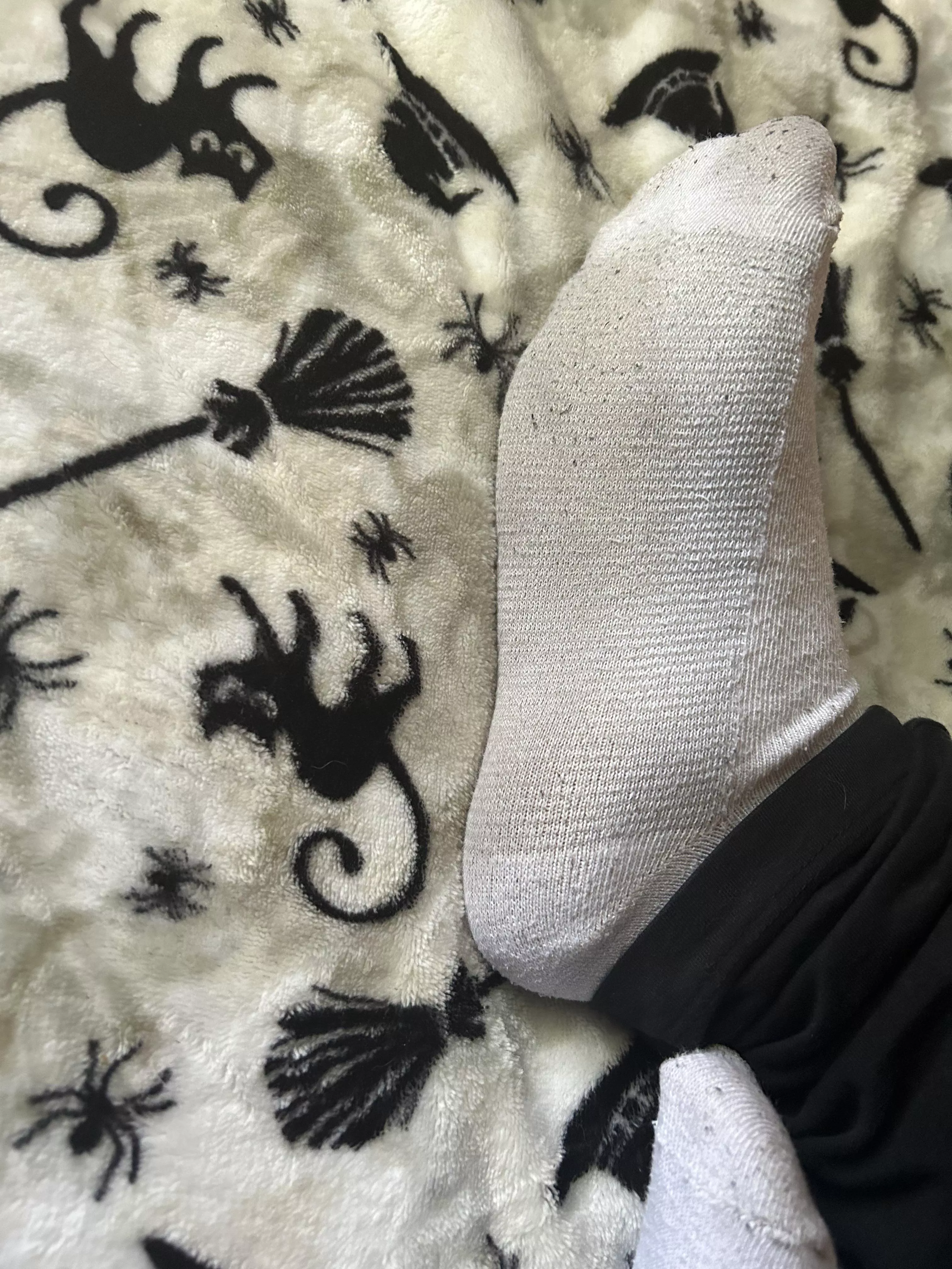 if these were in your bed, what would you do?😝 posted by jadebaby333