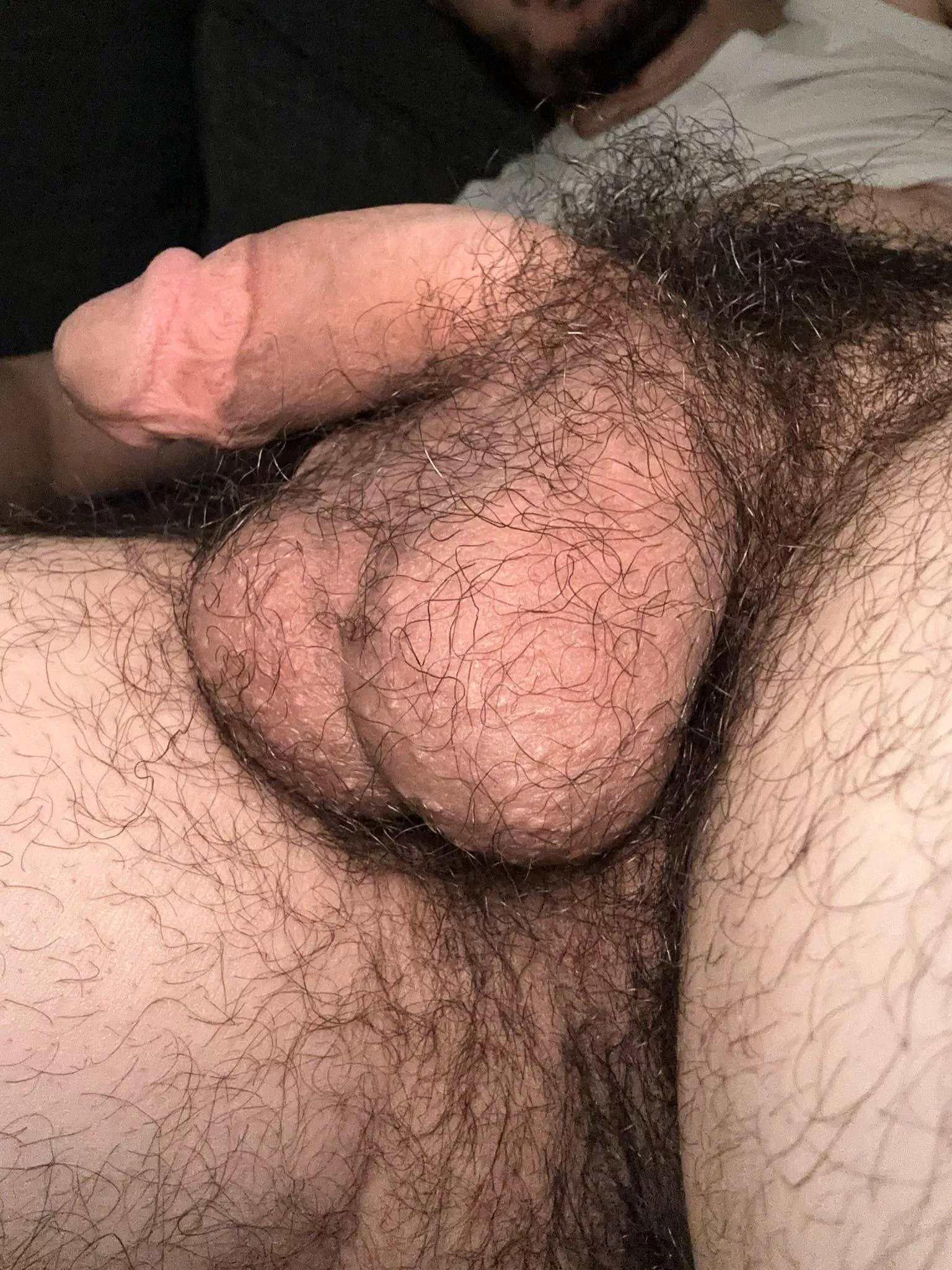 I’m addicted to hairy balls 🤷🏻‍♂️ posted by RagerCagerXX