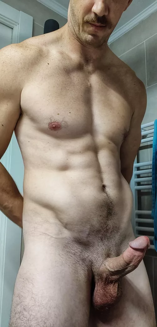 Night owl or early bird? [35] by dadstractedpt2