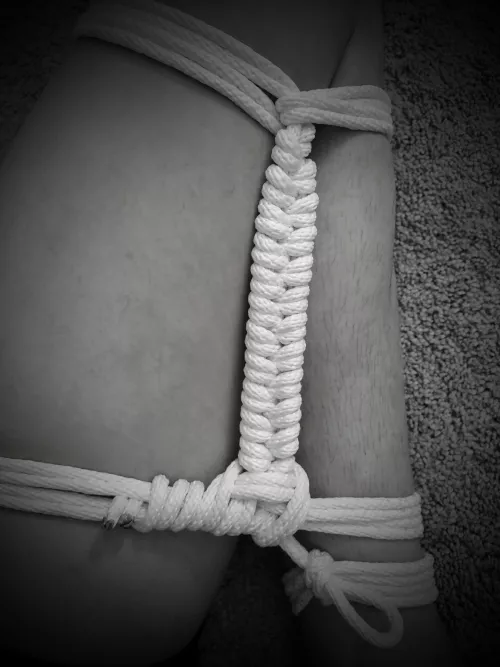 Rattlesnake tail by robo_dwarf_hamster