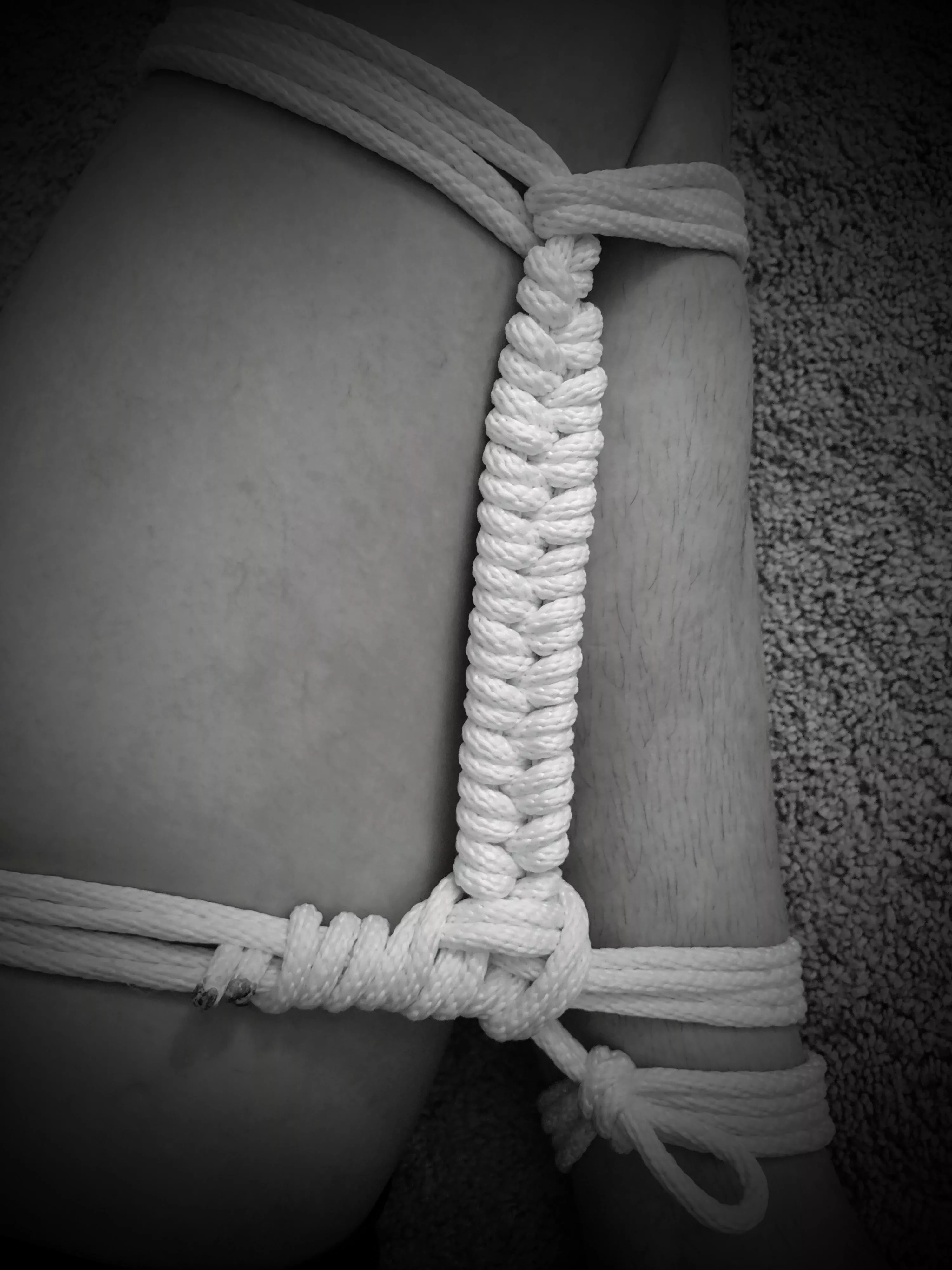 Rattlesnake tail posted by robo_dwarf_hamster