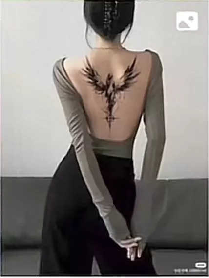 Sauce for this on tiktok posted by ComicSans3307