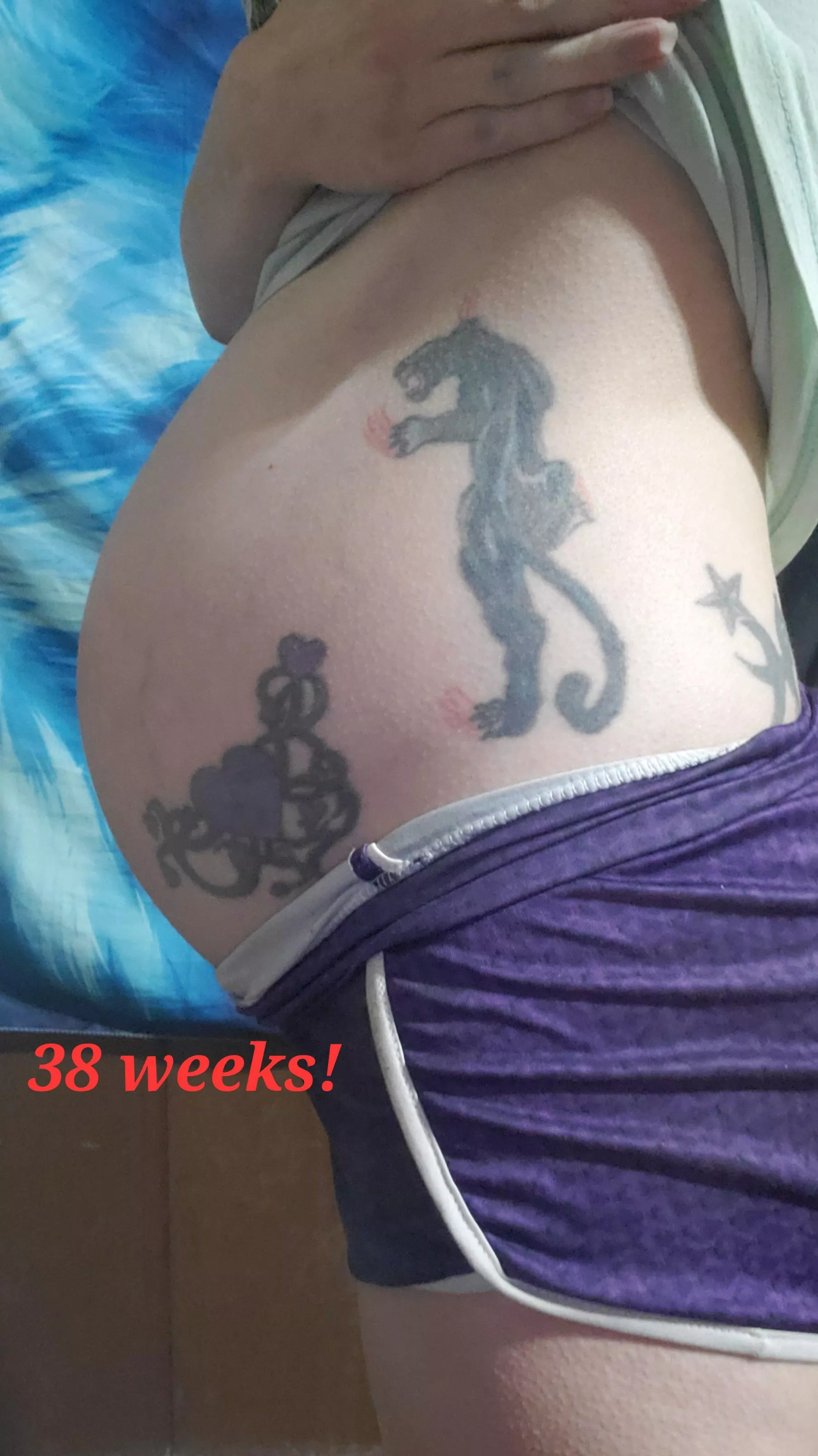 38 weeks! My pregnancy is almost over! Would you still follow me? posted by countrygirl7798