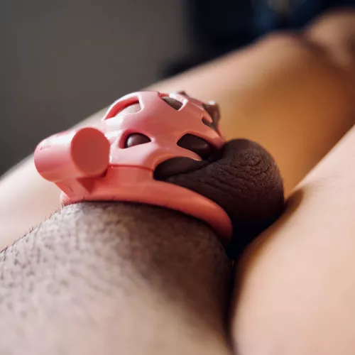 A day in the cage 🔐 by Fittedcagecup