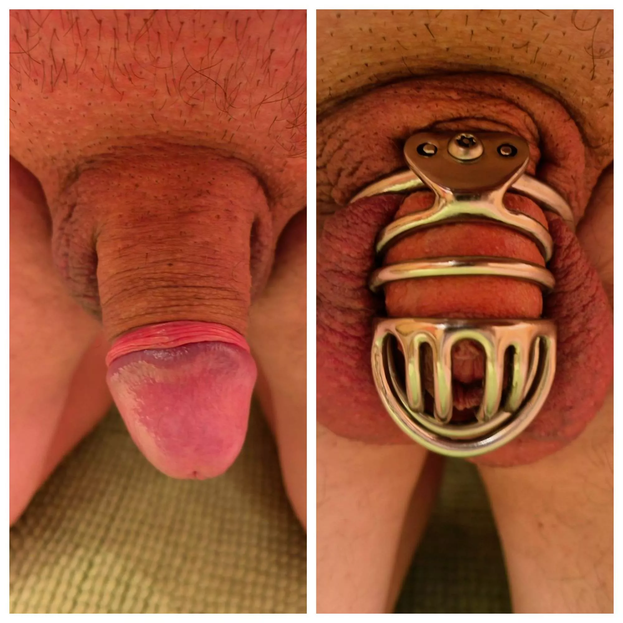 Back in my cage after a week of freedom. posted by Pimeke