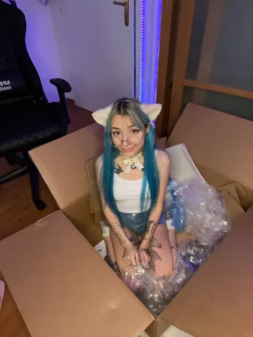 Ding Dong! Your cutie has delivered! Start to play? by Lanauntouchable