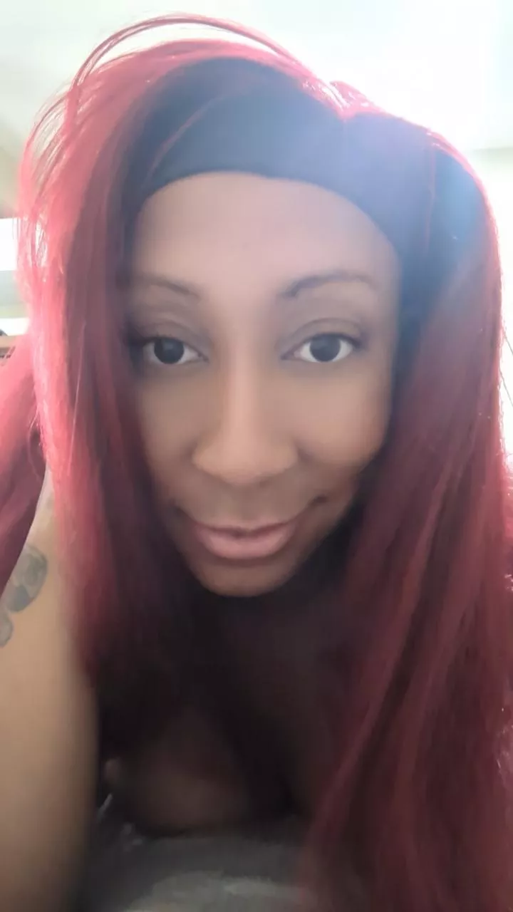 Happy to be here on this beautiful day! posted by cycloneandstallion