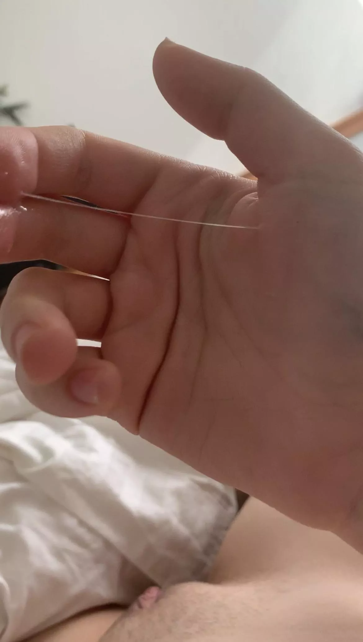 How I Spend Almost Every Morning posted by AnonymousGadFlow