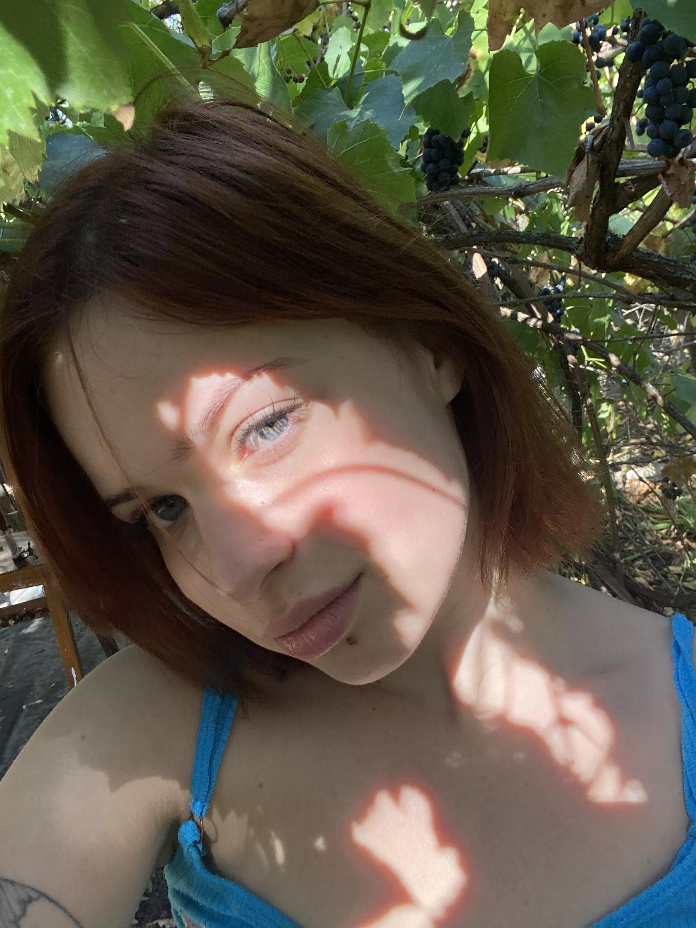 IUTR 🍇 posted by Forward-Broccoli-859