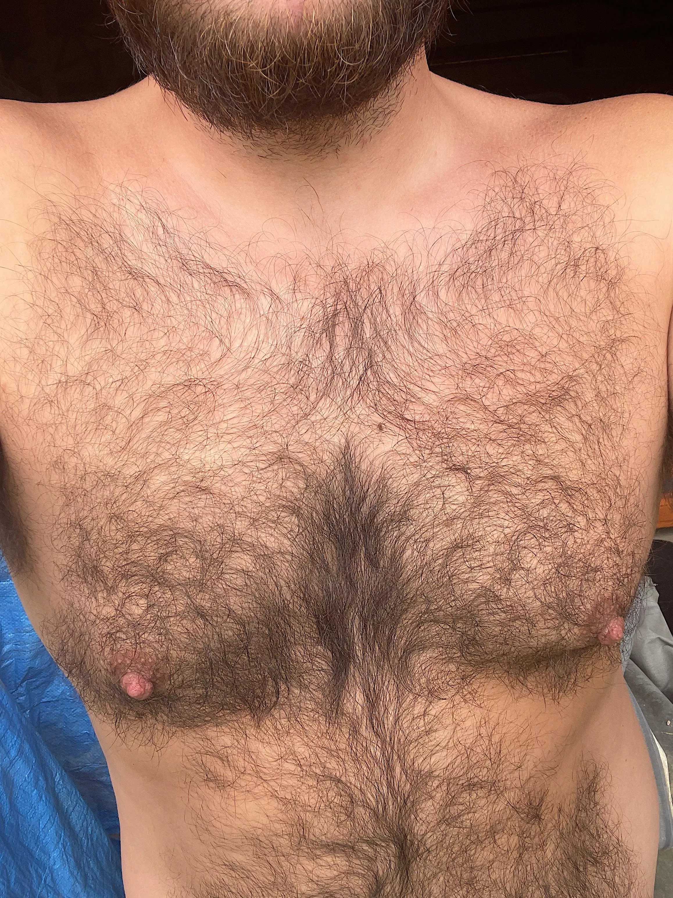 Morning Otters posted by BoMaverick