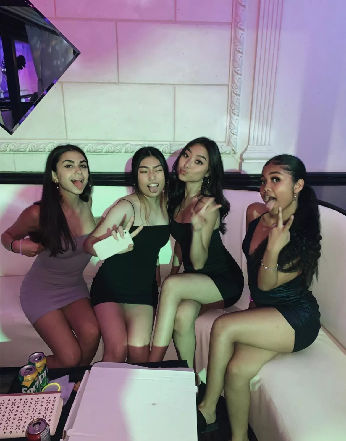 Party babes [4] posted by throwaway165236727