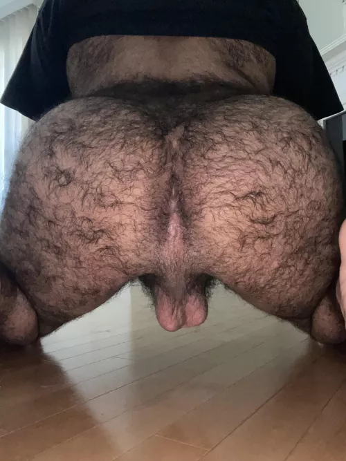 You have what I need? by hairybtttm