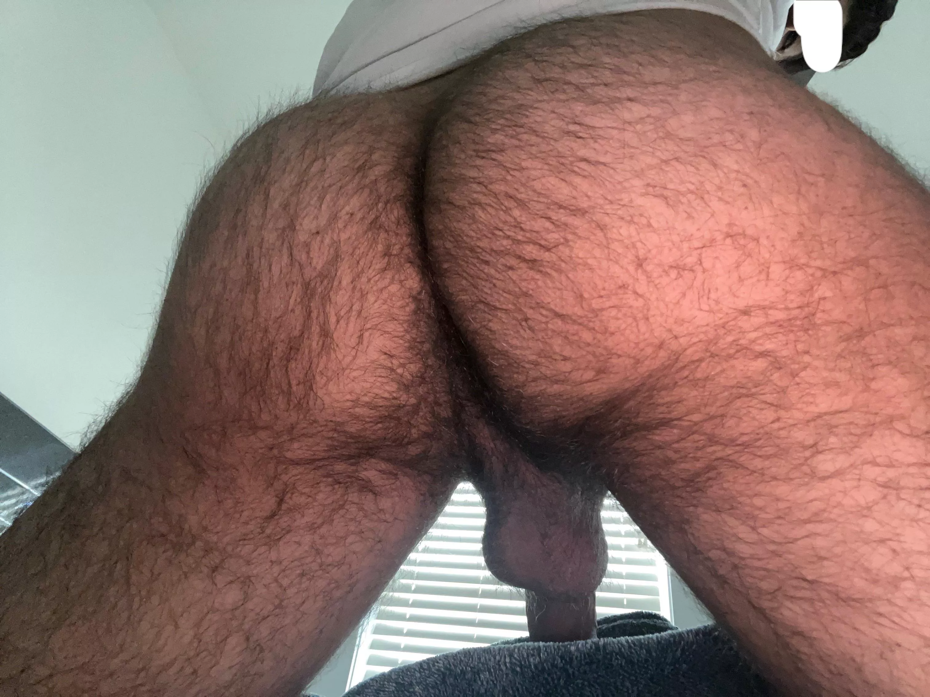 You like the view ? posted by Suspicious-Tower-271