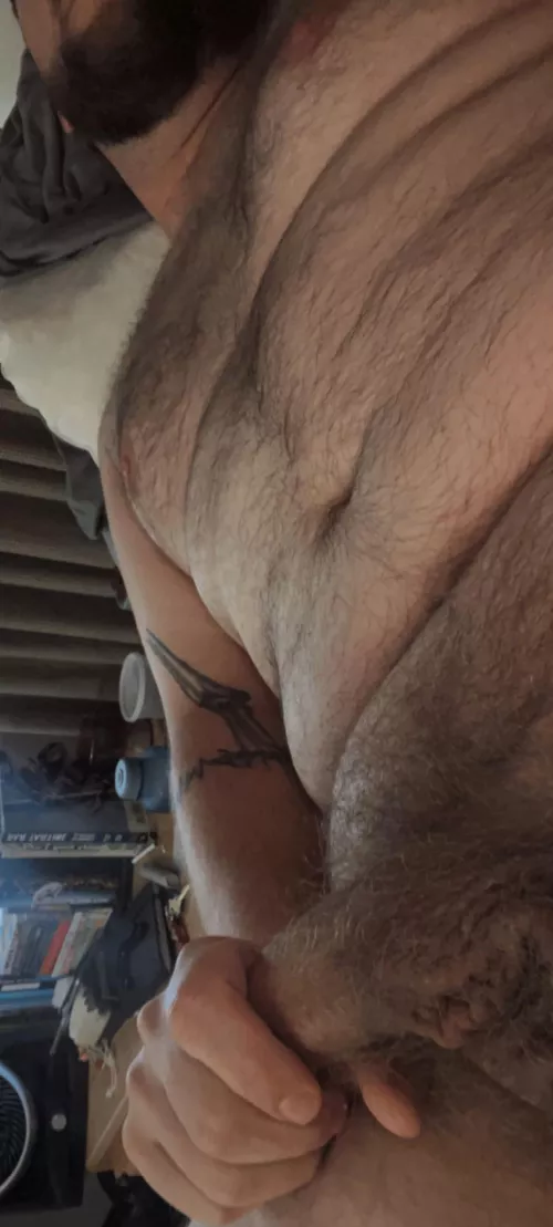 31 yo dad bod here. Horny and edging, wanting to trade, show off, or bust with someone. Face and verbal here. Hairy, face, and live are +++ hmu Zackkary_binx by BusyCryptographer612