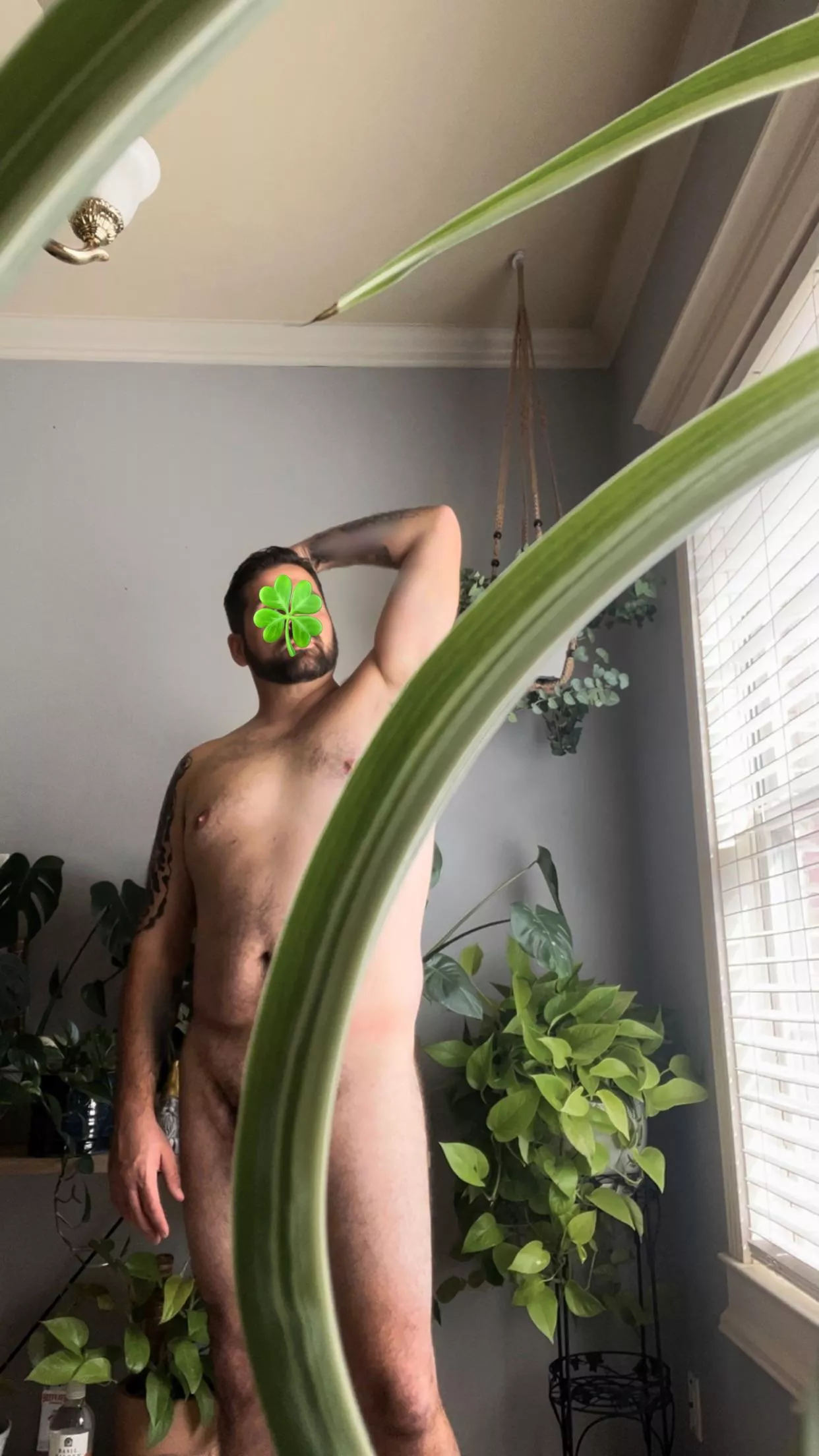 [36] A well place spider plant. posted by Sufficient-Demand-88