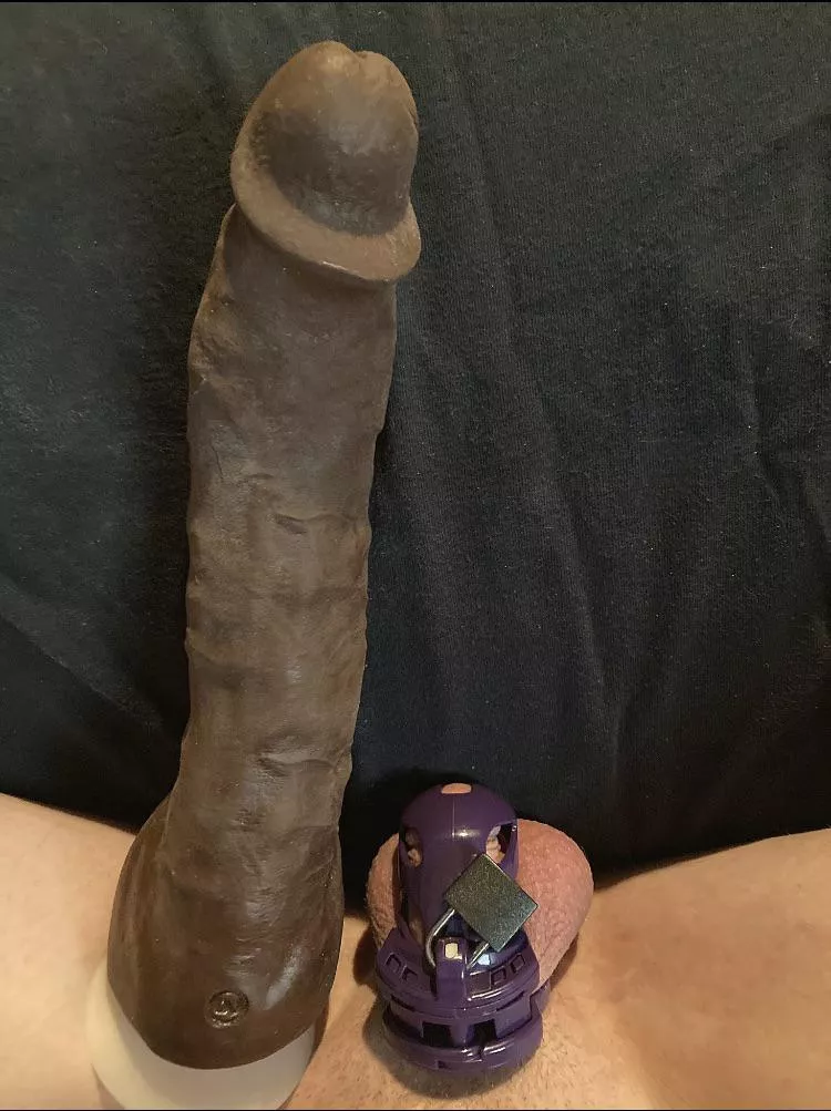 Anybody else enjoy comparing next to huge dildos? posted by bgtwob
