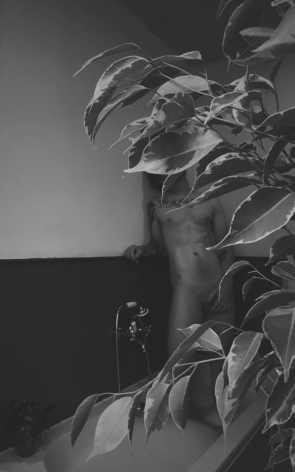 Darker mornings posted by greenandorangee