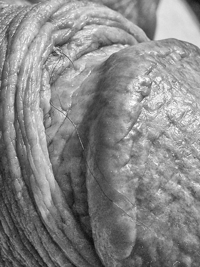 Detail posted by TheNudeMike