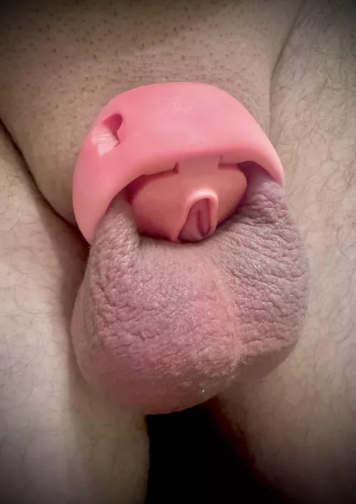 Got my new cage and I love it! by moremike