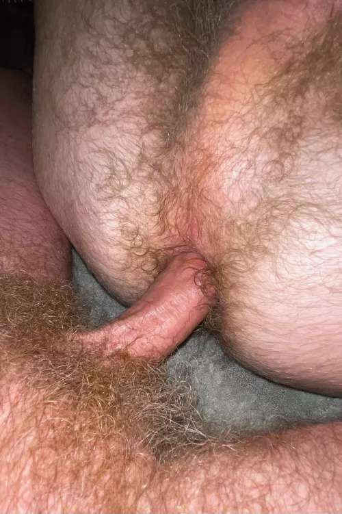 Hairy cock and ass by hawkmike69x