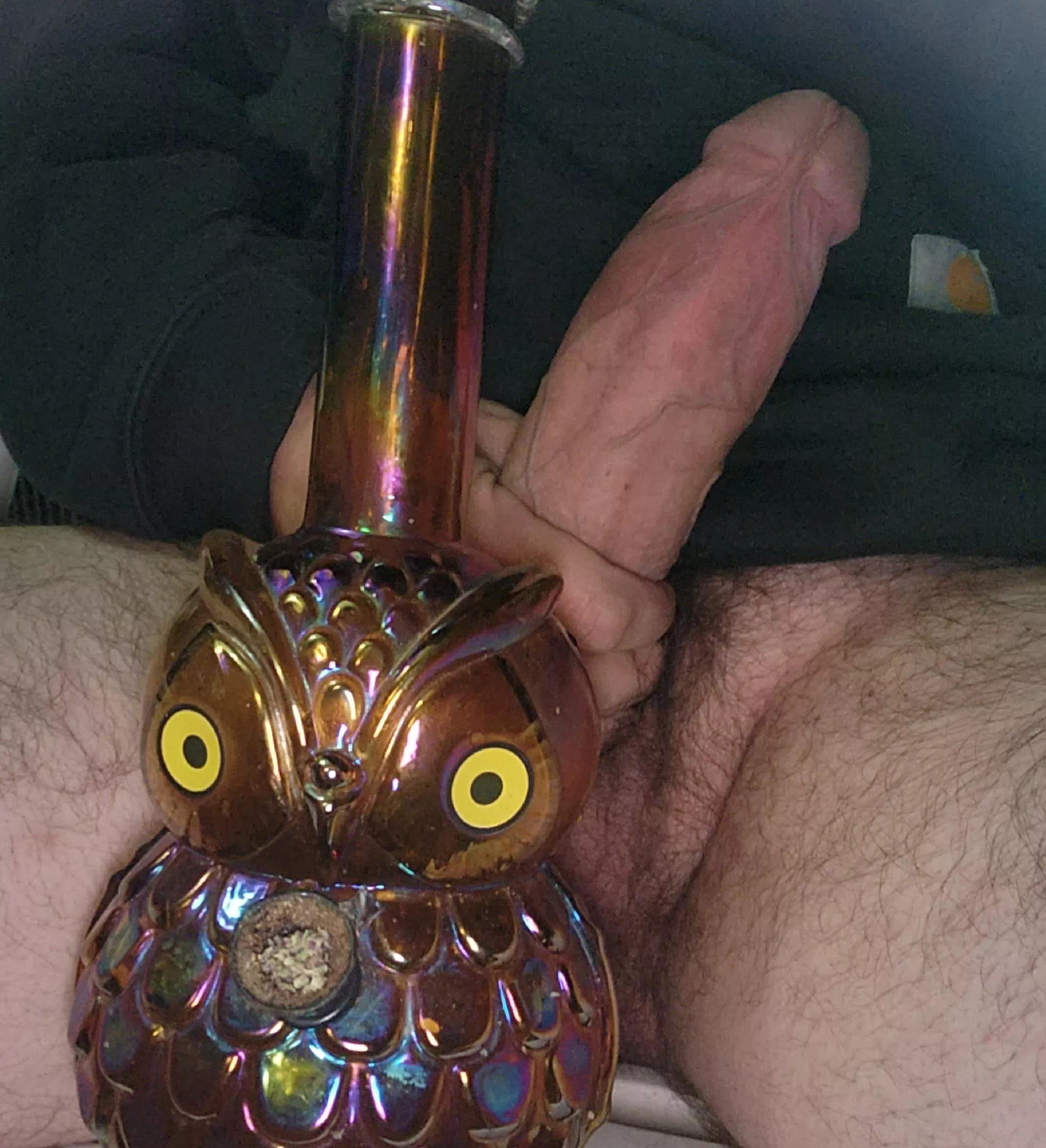 Here, your bowl is ready. 🦉 [m] posted by Greylour