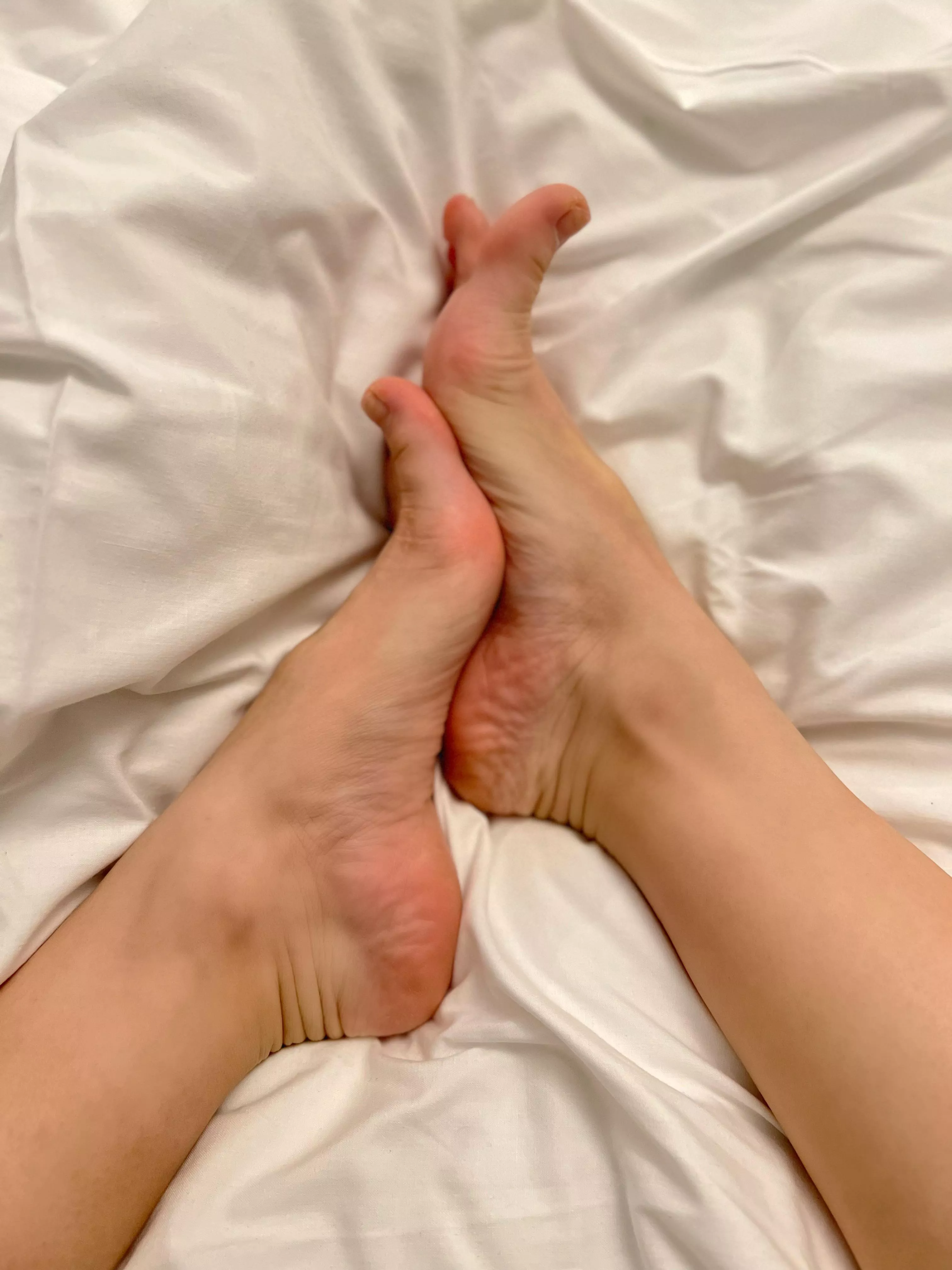 I hope your fantasy is stirred by those alluring curves of my feet… posted by Alarmed_Philosophy30