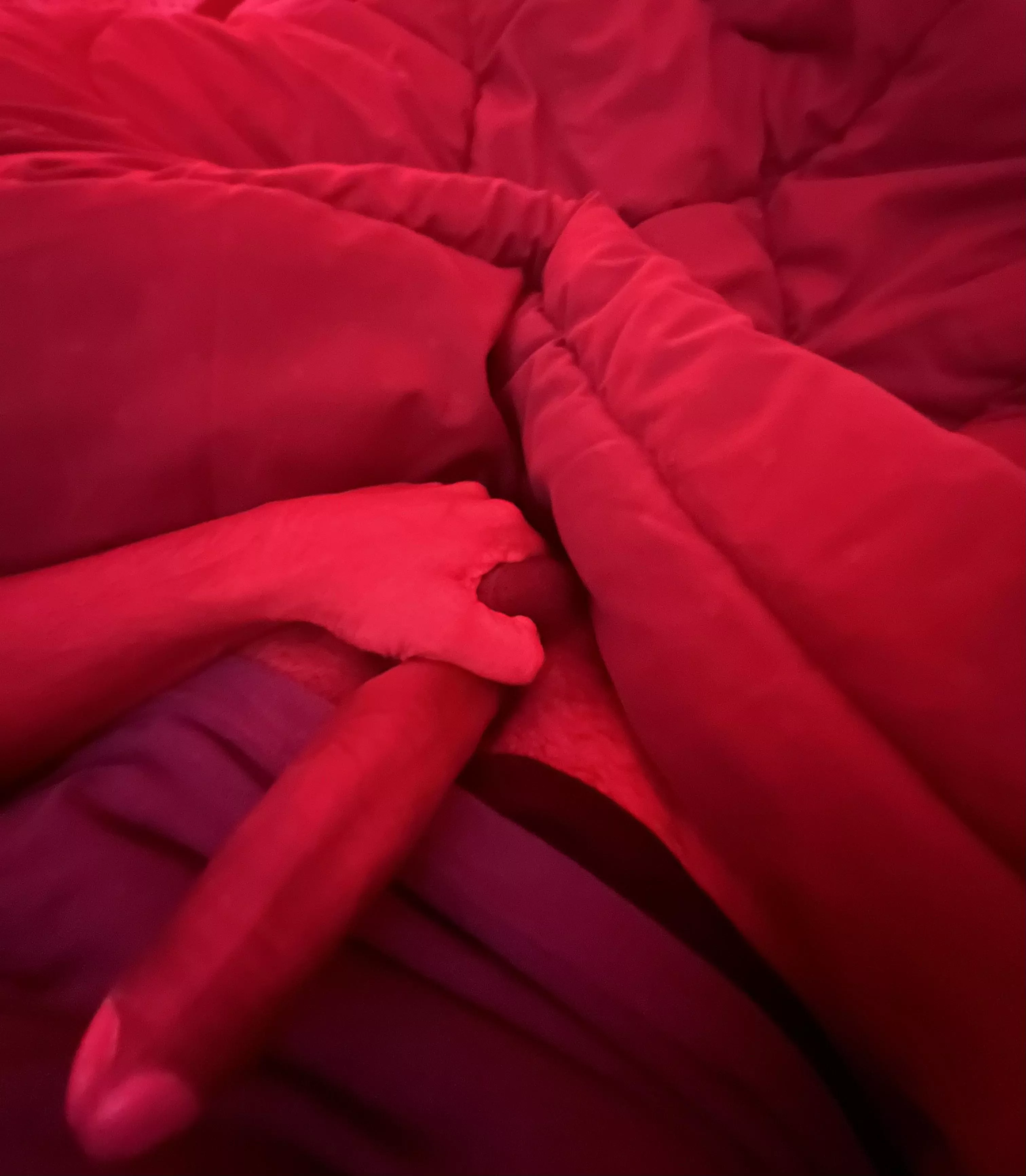 Would you suck it posted by couplemississauga