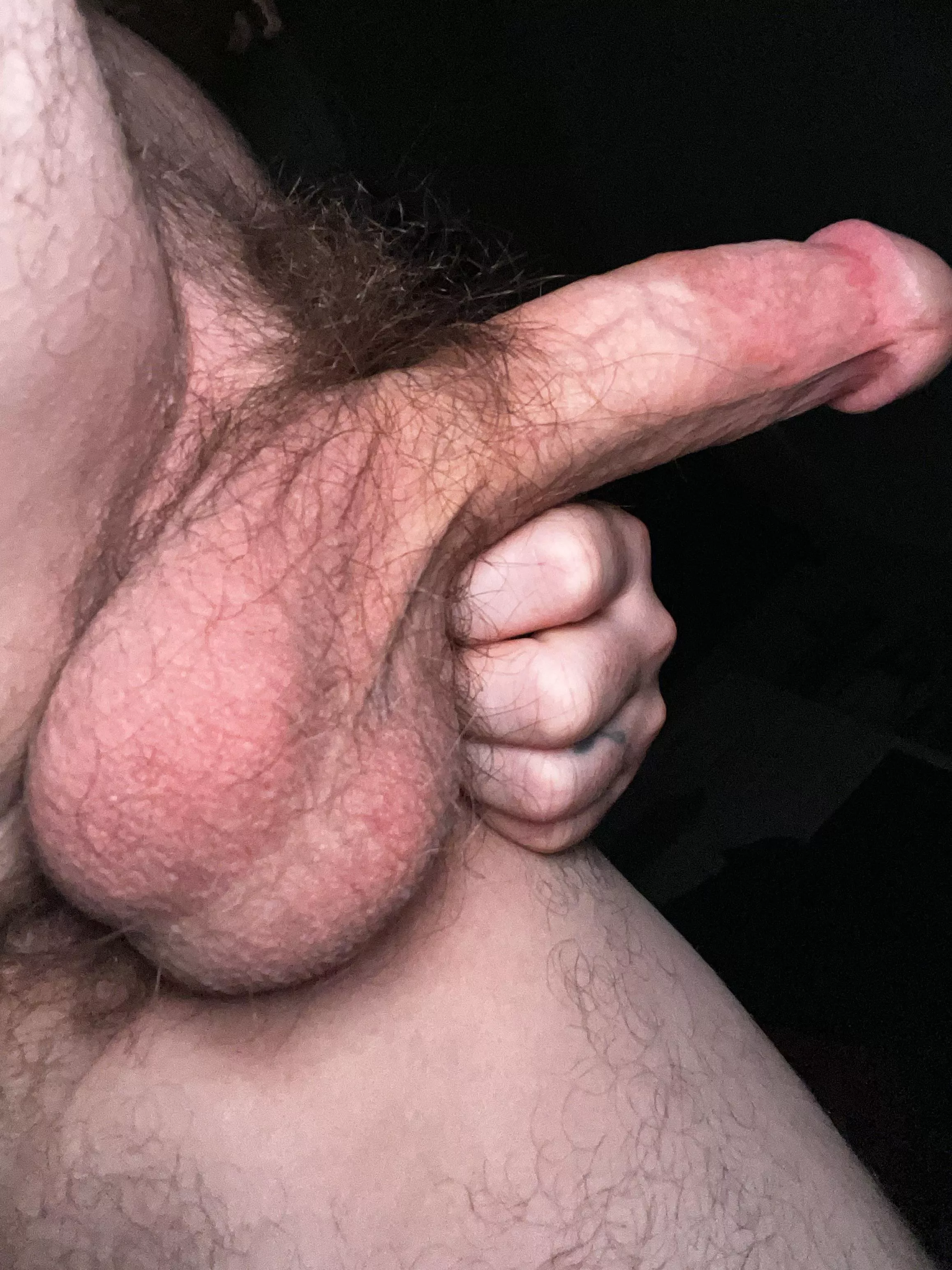 How about hairy taint? 👀 posted by jekyll_jacob