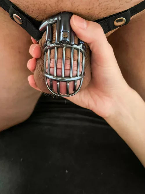 My bf’s custom titanium cage just arrived. Of course he got locked right after by Art3miss_1