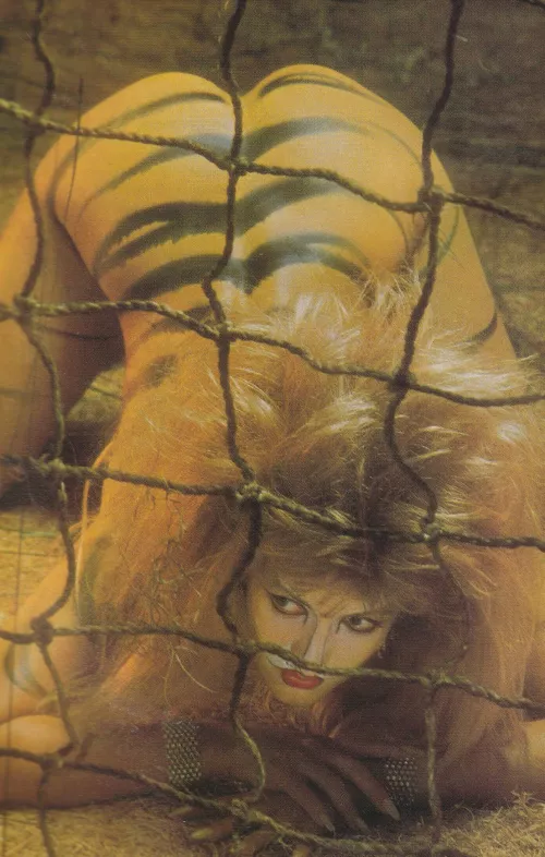 Playboy ||| November 1985 by Sedna_ARampage