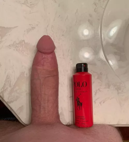 Ralph Lauren isn’t the only horse around by Nahkbutwhy