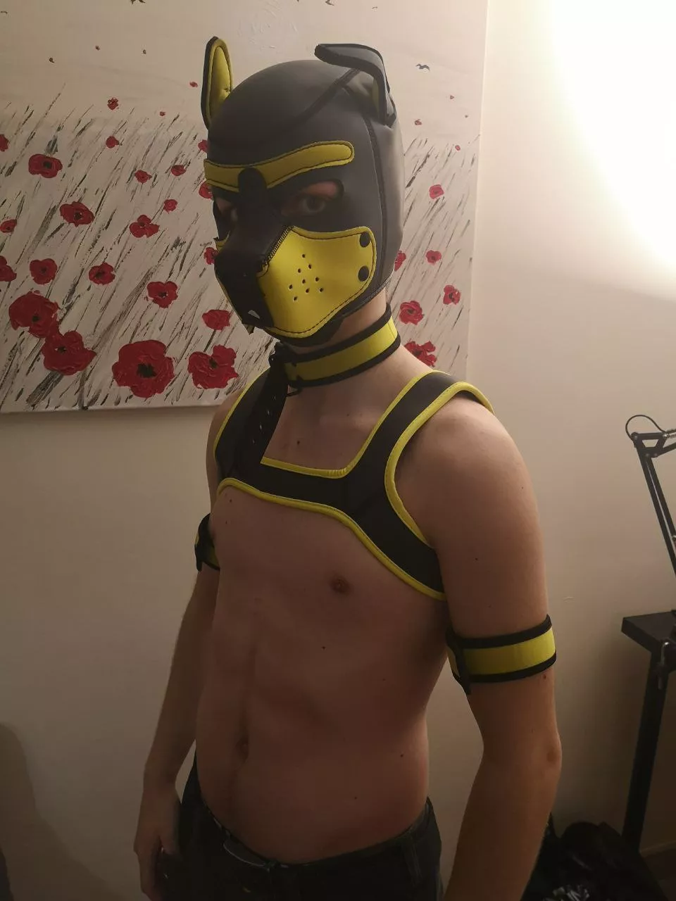 Woof posted by EmeshaPw