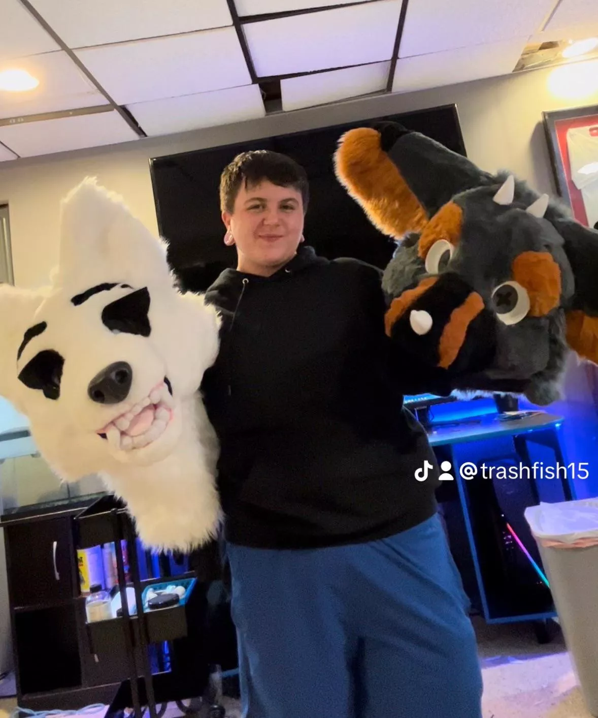 Fursuits posted by Pocketcrane_