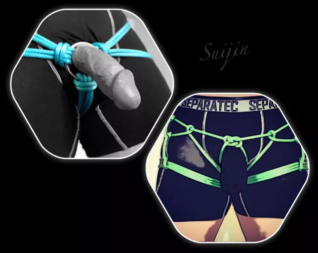 Hip Harness on Him by ShibariSuijin