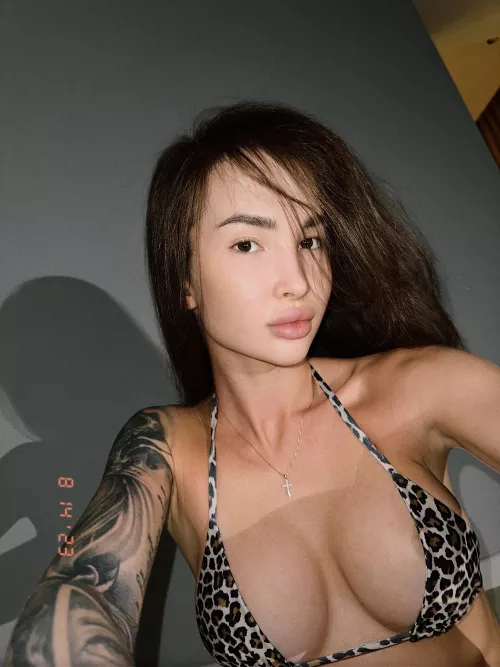 Leopard by KarinaLoveee
