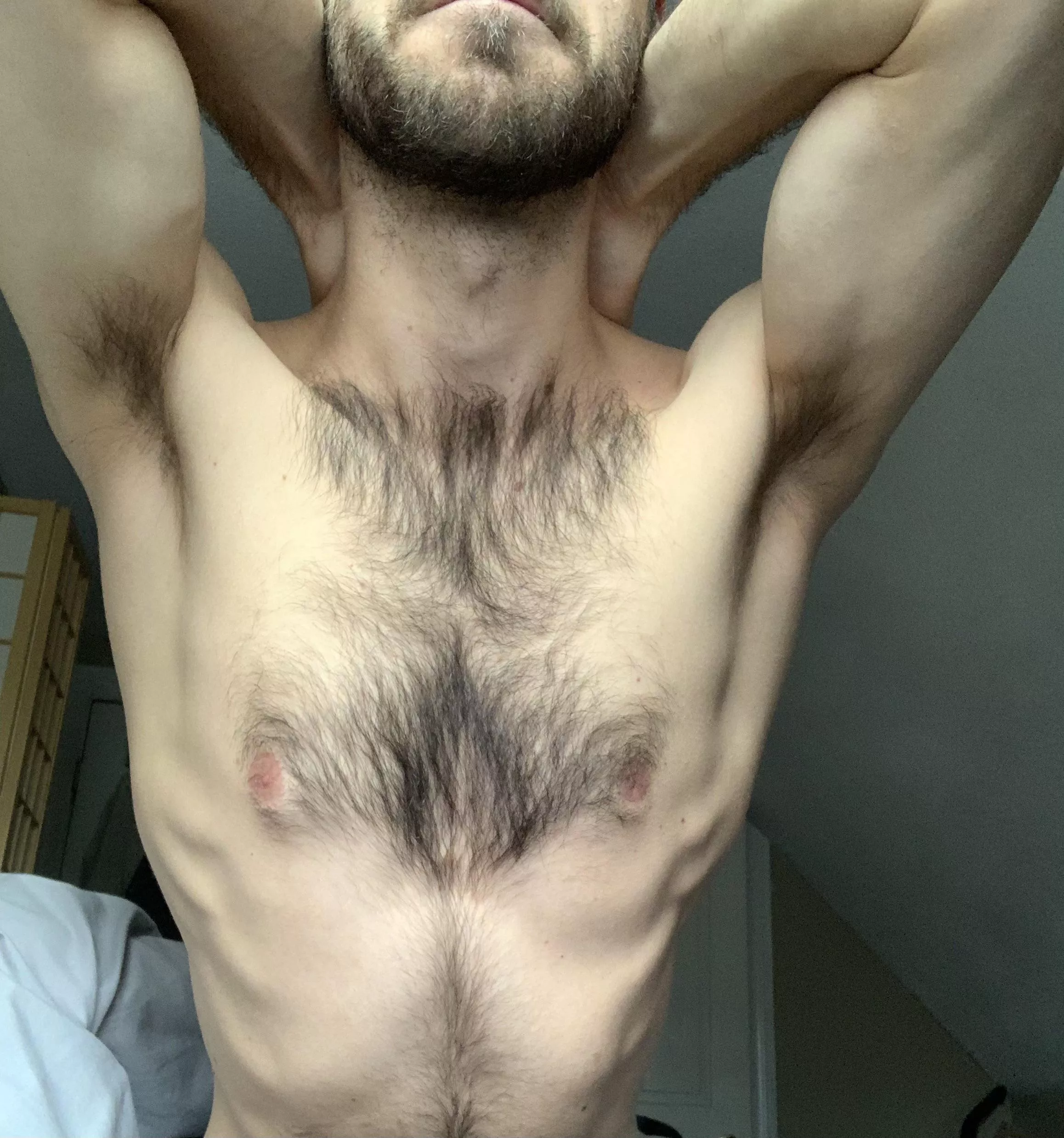 Otter pits, anyone? posted by AtticusAesop