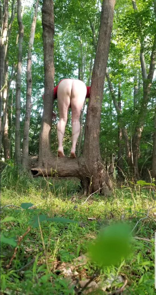 Playing in the woods by manwithacamera2