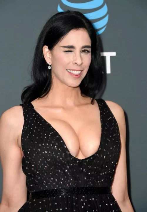 Sarah Silverman by Sea_Seat4913