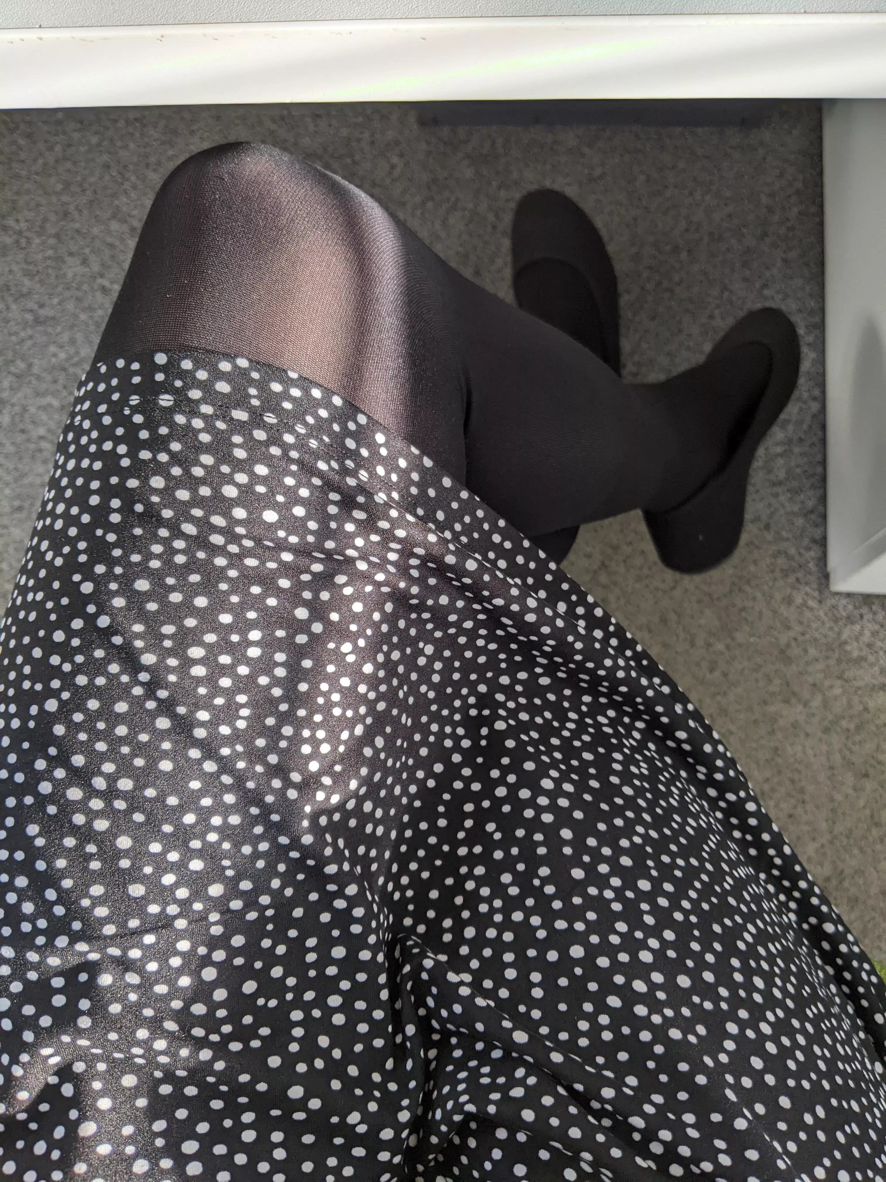 A sliver of sunshine today! posted by lonely_chameleon_