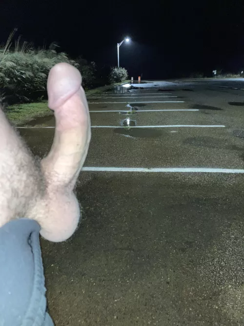 All alone at the marina by dandaniels88