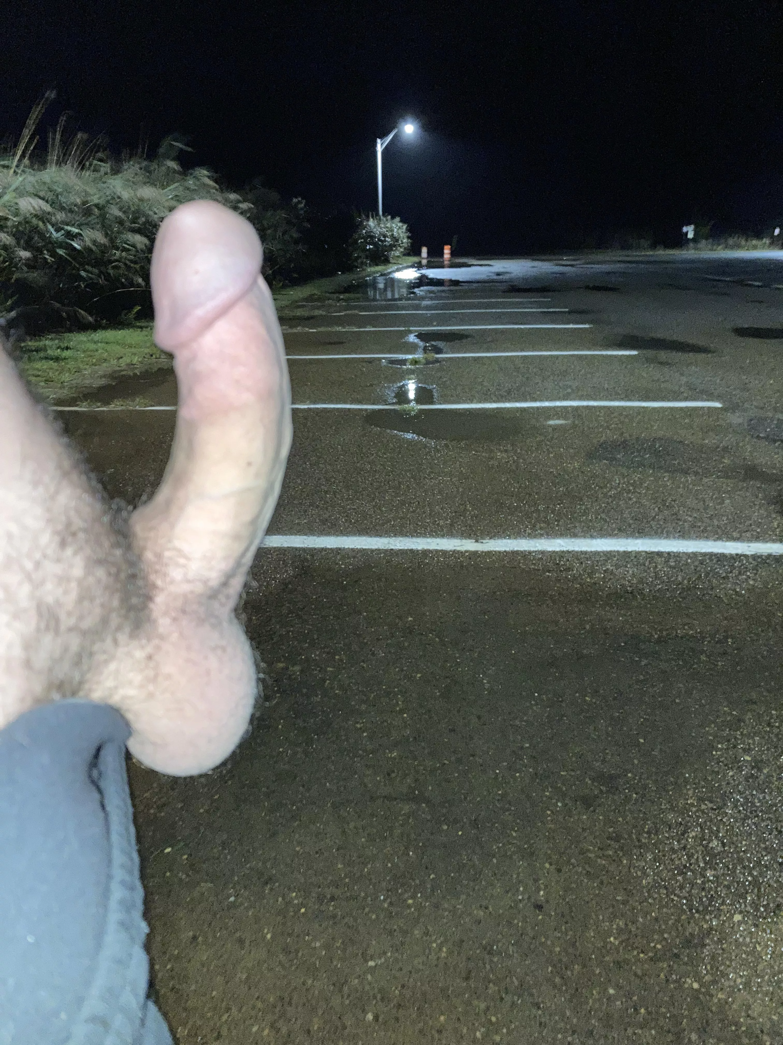 All alone at the marina posted by dandaniels88