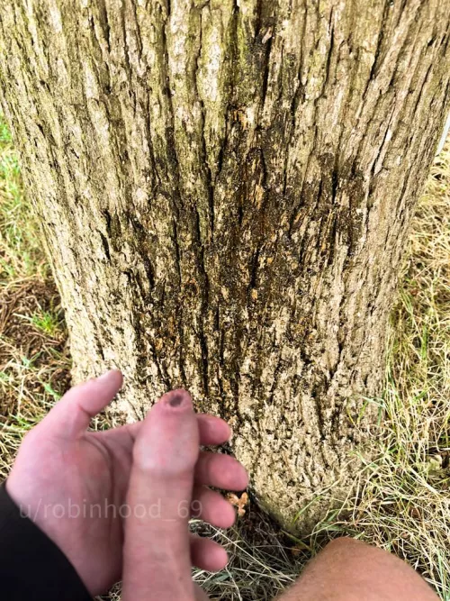 My cock is like a friendly wave in a sea of highs and lows – just the right size... by Robinhood_69