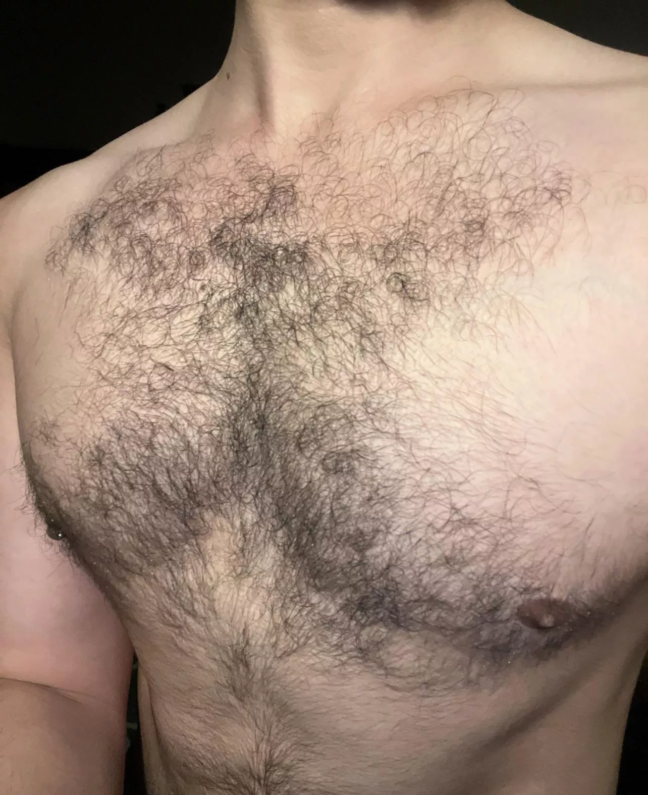 Wish i was more hairy posted by Ok_Pay1943